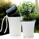 ISO9001 125mm Slimme Herb Monstera Self Watering Houseplant-Potten