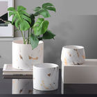 Noordse binnenkop 9cm kleine succulente witte ceramische bloempotten