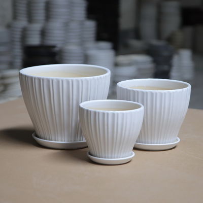 ODM 16cm Drainage Shell Decorative Ceramic Plant Pots met Schotel